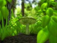 /album/nature-wallpaper/a3d-green-wallpapers-2-jpg/